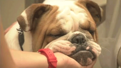 ILC-305-3.gif?fit=inside|900:auto&output-quality=100